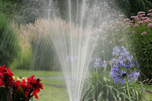 Cuadro para la categoría Jardín