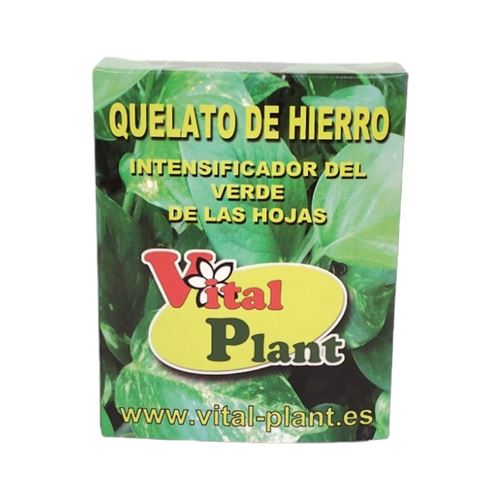 Foto de QUELATO DE HIERRO 25G