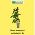 Foto de KIWI AMARILLO AUTOFERTIL 2L / 5L
