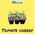 Foto de TOMATE CHERRY