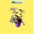 Foto de TRADESCANTIA NANOUK M8